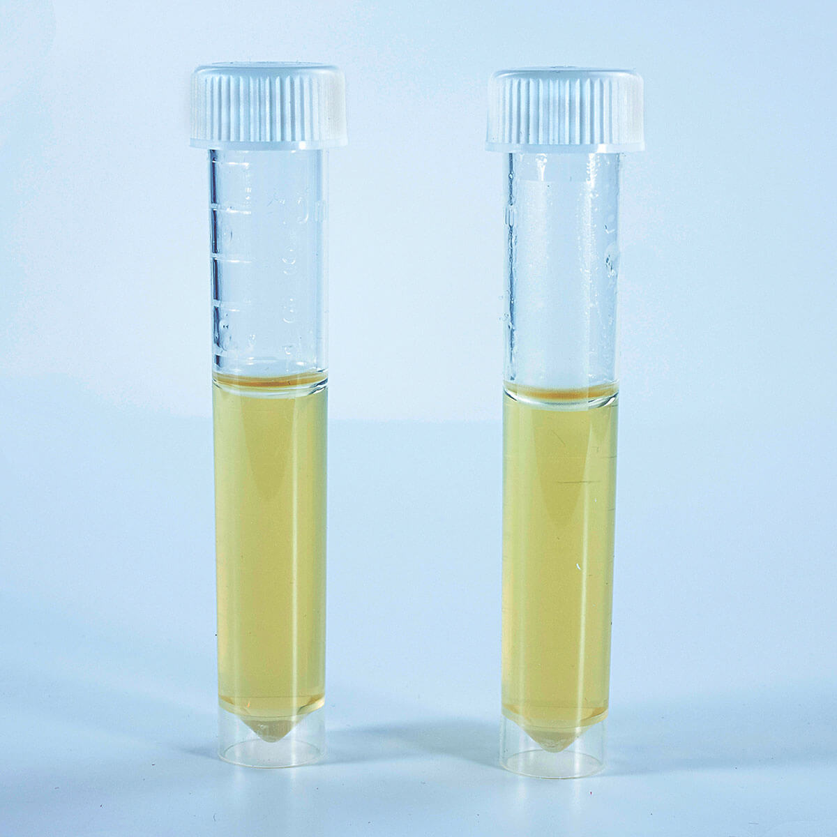 C. elegans Protein Aggregation Research